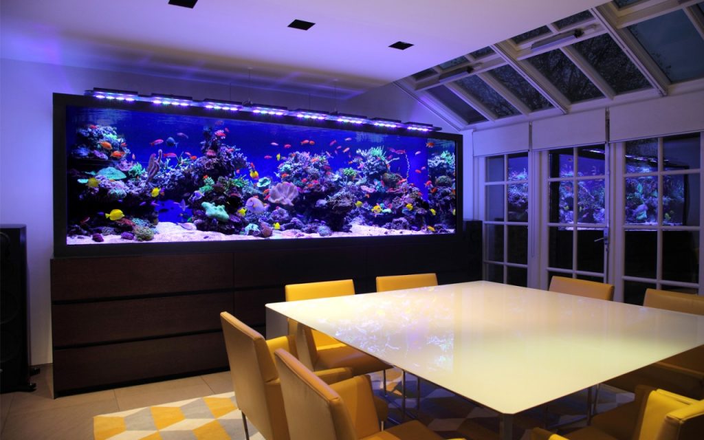 aquarium installation