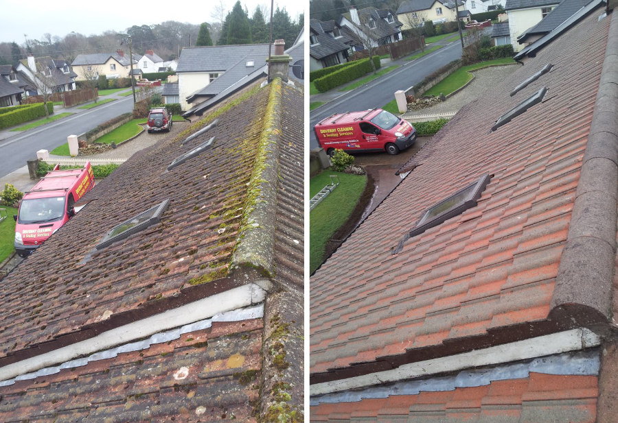 roof cleaning 