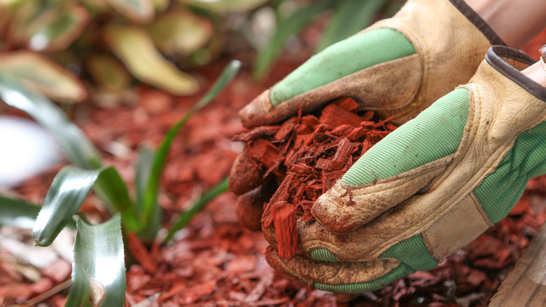 mulch drop off in cincinnati