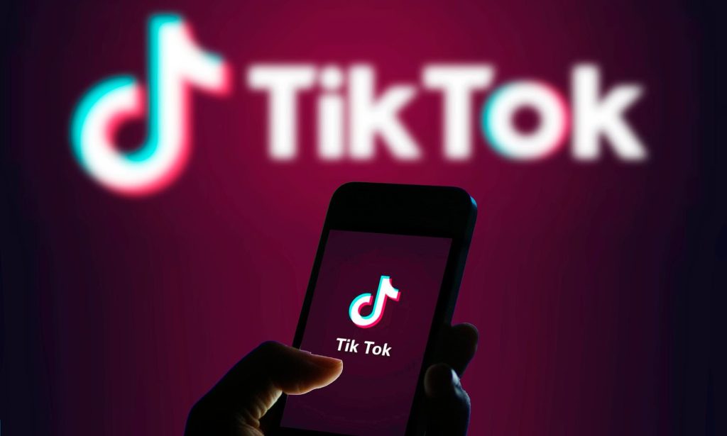 TikTok Video Downloader 